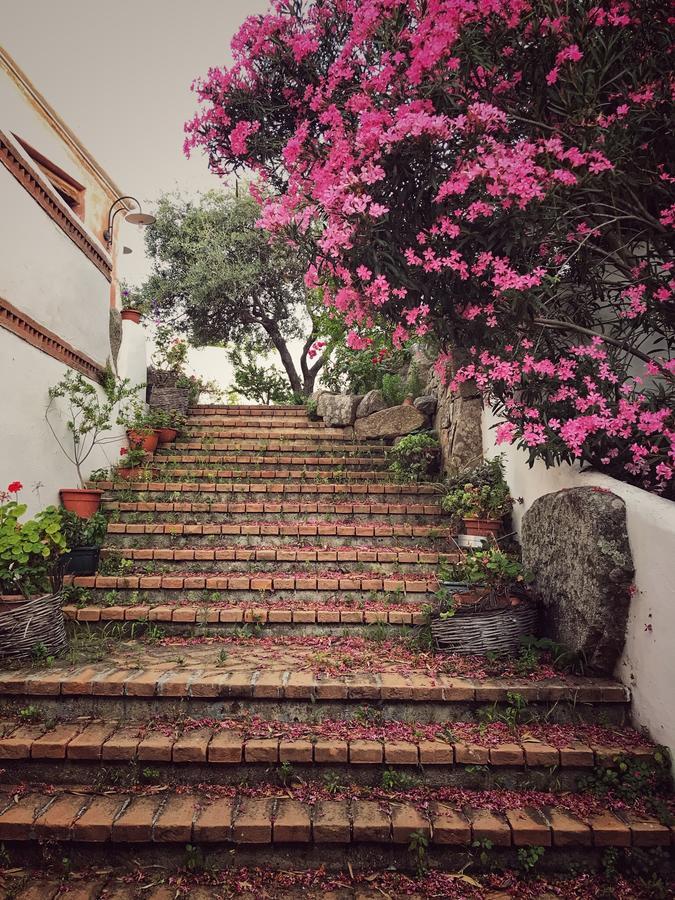 Locanda Tipica Sa Corte 오리에나 외부 사진